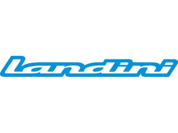 Landini